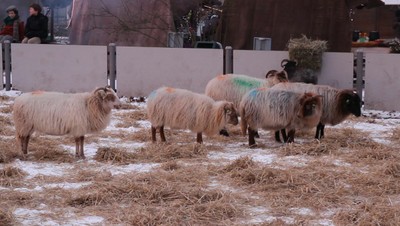 vlcsnap 2012 12 08 18h35m20s184