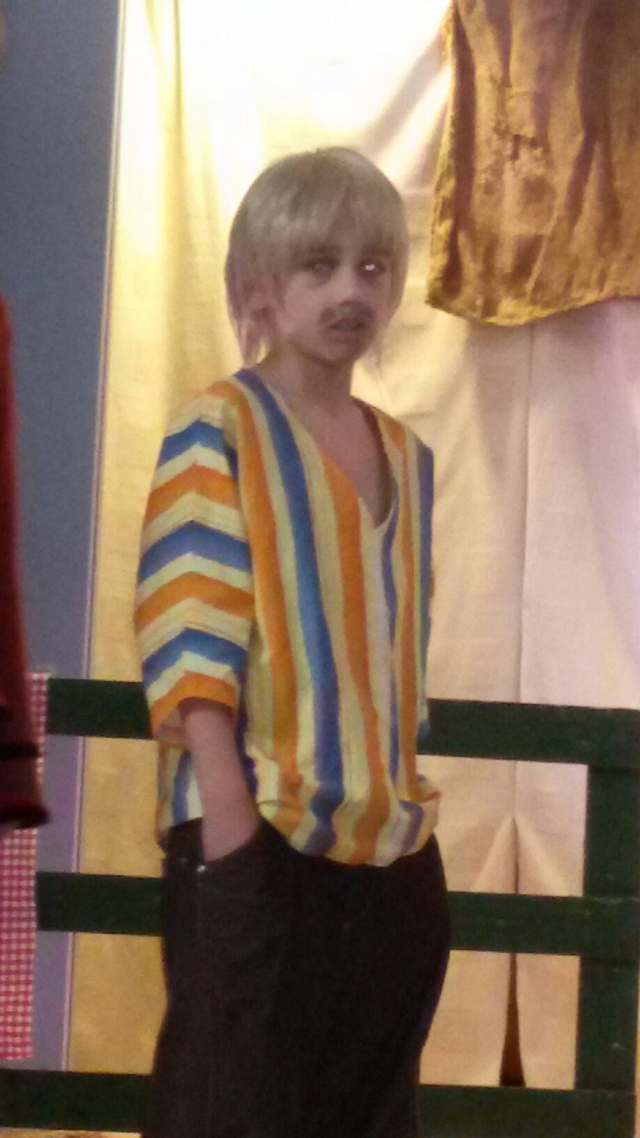 Zwerver in Paardenvijg